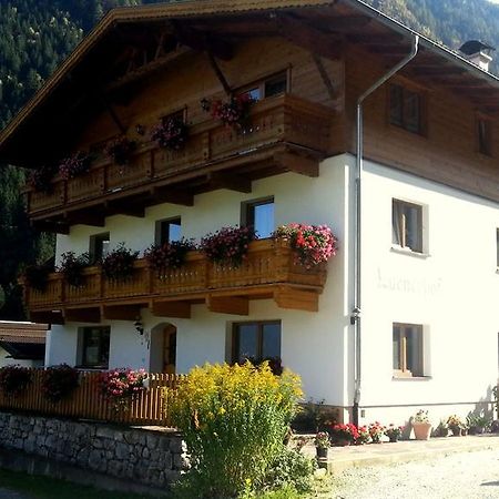 Luenerhof ξενώνας Neustift im Stubaital Εξωτερικό φωτογραφία