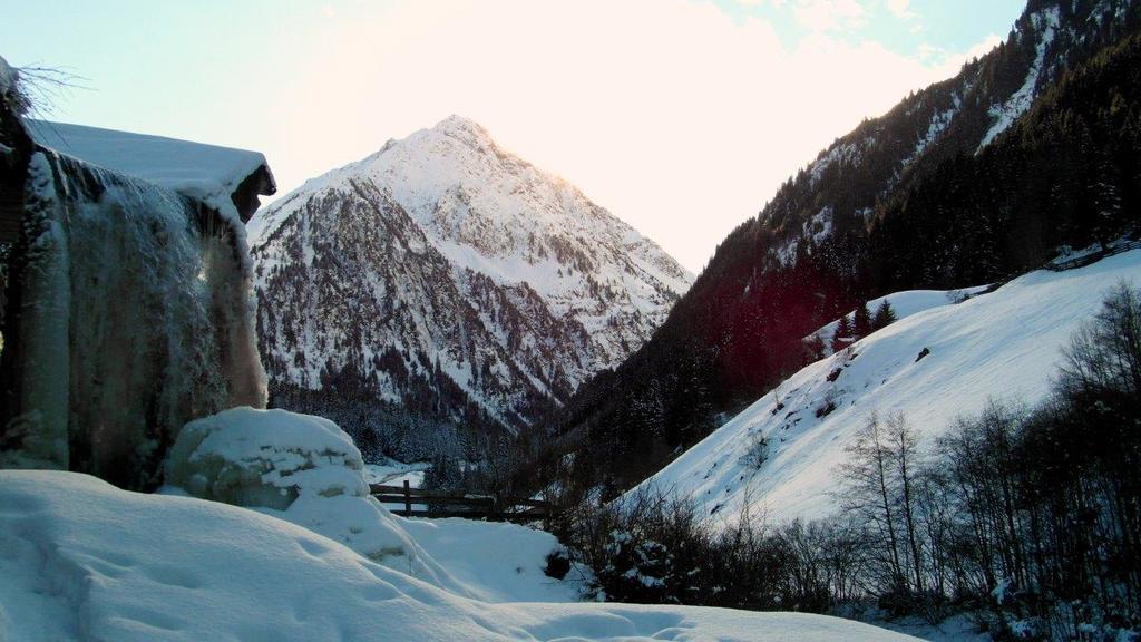 Luenerhof ξενώνας Neustift im Stubaital Εξωτερικό φωτογραφία