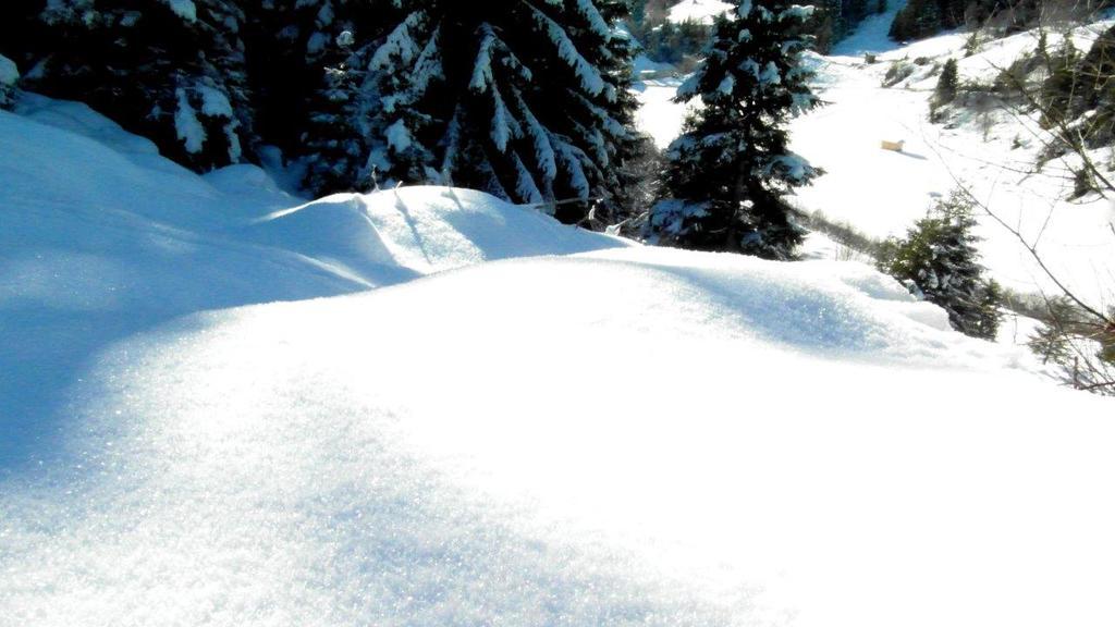 Luenerhof ξενώνας Neustift im Stubaital Εξωτερικό φωτογραφία
