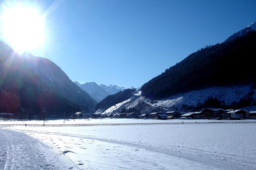 Luenerhof ξενώνας Neustift im Stubaital Εξωτερικό φωτογραφία