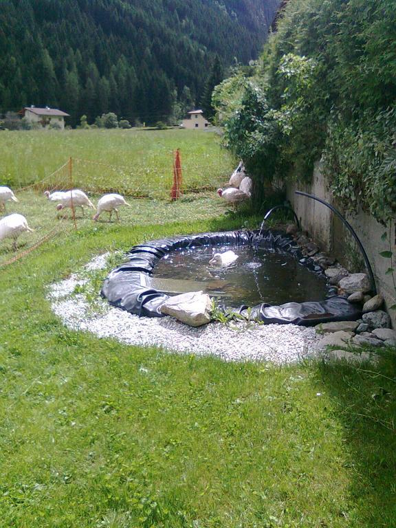 Luenerhof ξενώνας Neustift im Stubaital Εξωτερικό φωτογραφία