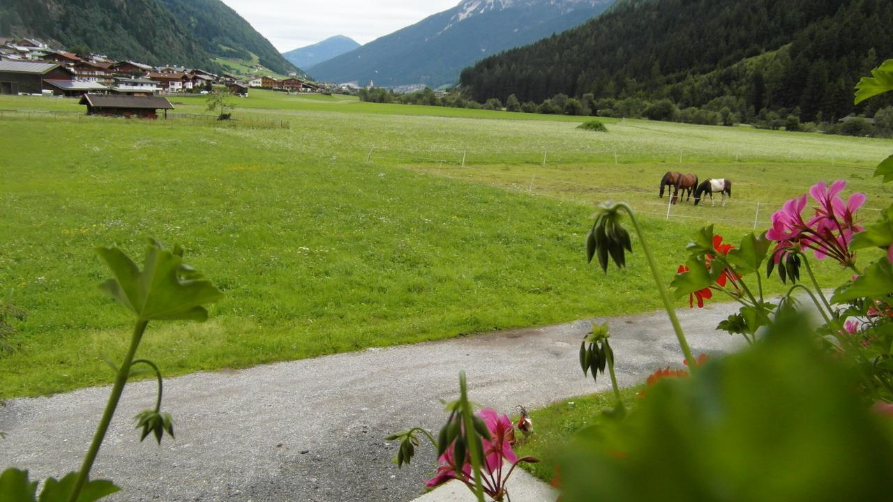Luenerhof ξενώνας Neustift im Stubaital Εξωτερικό φωτογραφία